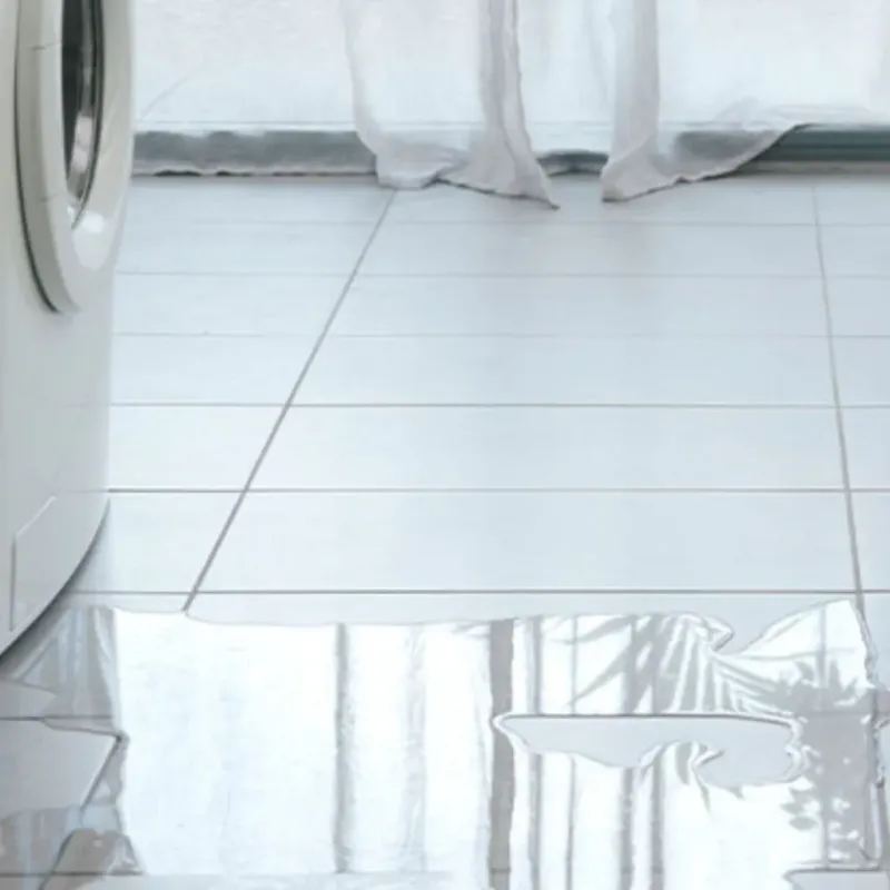 Appliance Leak Cleanup in Pierre Part, LA