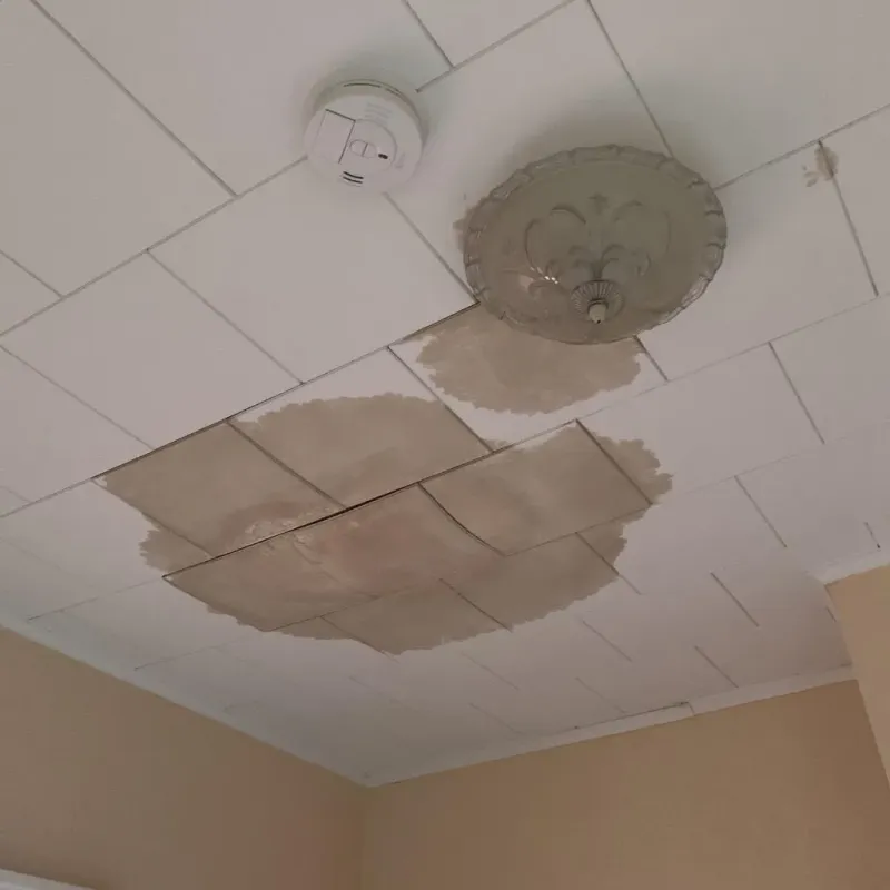 Ceiling Water Damage Repair in Pierre Part, LA