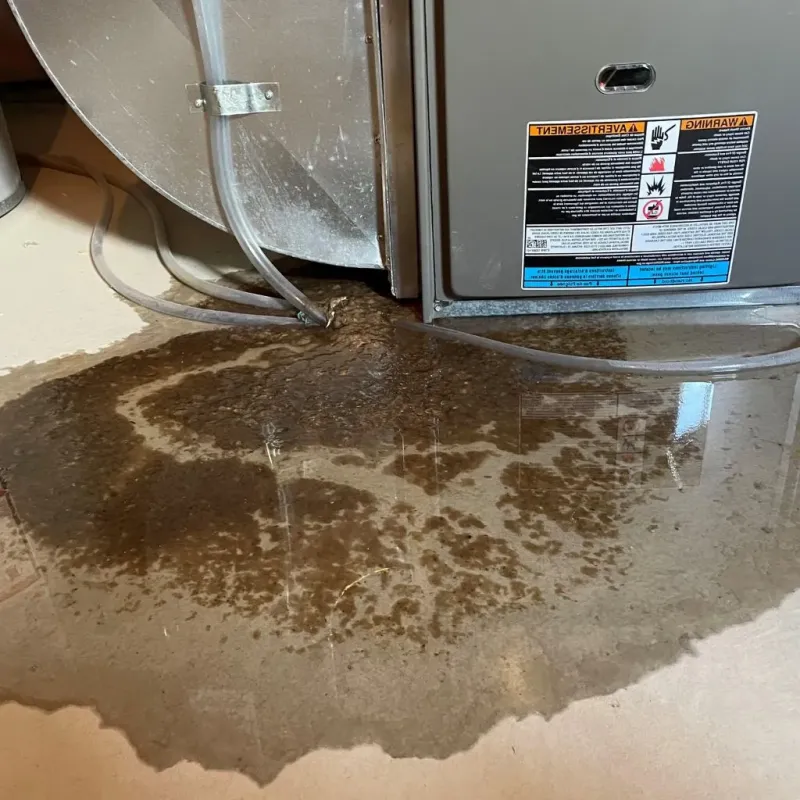 Pipe Burst and Leak Restoration in Pierre Part, LA